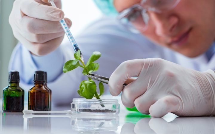 green chemistry